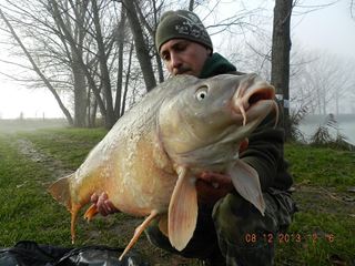 iarna cu carpfishing